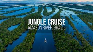 Amazon Rainforest in Brazil - Jungle Cruise on the Amazon River