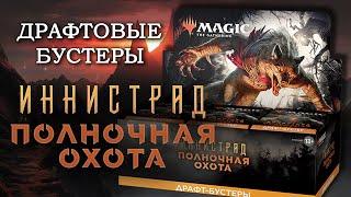 Распаковка дисплея  Иннистрад Полночная Охота  Драфтовые бустеры  MTG Innistrad Midnight Hunt