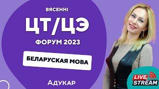 Беларуская мова ЦТ ЦЭ 2023  Вясенні  ЦТ ЦЭ-форум для абітурыентаў 2023