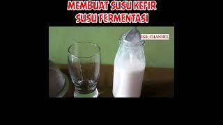 MEMBUAT SUSU KEFIR DARI SUSU UHT #kefir #yoghurt