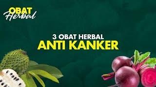 3 Obat Herbal Terbukti Mencegah Kita dari Penyakit Kanker  Hidup Sehat