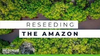 Meet The Indigenous People Regenerating The Rainforest  Xingu Seeds Network  RETV