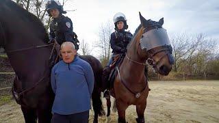 Policiers gendarmes militaires  les animaux délite des forces de lordre