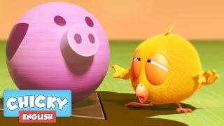 Wheres Chicky? Funny Chicky 2020  CHICKY PIG  Chicky Cartoon in English for Kids