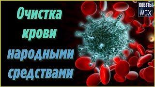 Как очистить кровь и лимфу в домашних условиях. Рецепт напитка