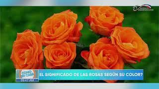 El significado de las rosas segun su color