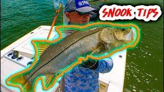BEST Snook tips youll ever hear