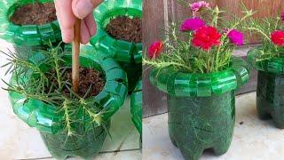 Awesome Idea  How to make a beautiful flowerpot by recycling plastic bottle