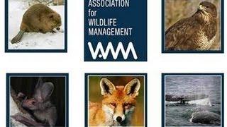 Wildlife Diseases and Conservation -  a one day symposium