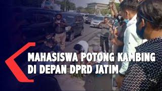 Demo Mahasiswa Diwarnai Aksi Potong Kambing