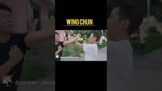 Wing Chun Master   kung fu martial art tutorial skill martial art master teaching self defence