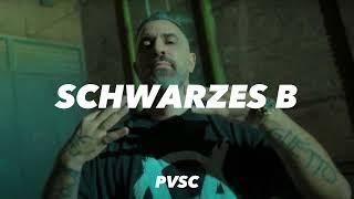 Bushido - „Schwarzes B“ Disstrack Type Beat  2024 prod. by PVSC