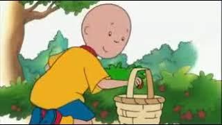 Caillou - Caillou Goes Strawberry Picking 