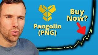 Why Pangolin is up  Png Crypto Token Analysis