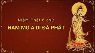 #1 Niệm Phật – NAM MÔ A DI ĐÀ PHẬT - Thầy Thích Trí Thoát Tụng - VIDEO MỖI NGÀY CỦA NGƯỜI PHẬT TỬ 