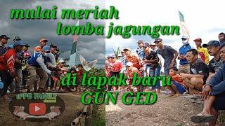 lomba hari minggu lapak GUN GED...persaingan makin seru