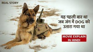 300 Enemy Tanks Demolished By Russian Dog Squad- Unraveling The True Story In Hindi