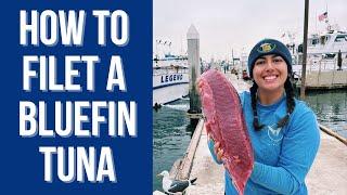 How to Filet a Bluefin Tuna - step by step easy fish filet beginner instruction video