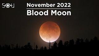 Years Longest Lunar Eclipse Is Coming Dont Miss The November 2022 Total Lunar Eclipse