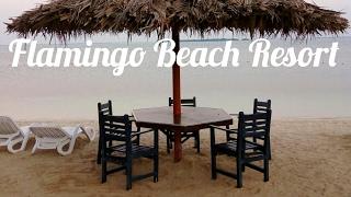 Flamingo Beach Resort ft Crab hunting Umm Al Quwain UAE