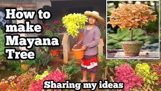 How to make Mayana Tree Step by Step plus Tips.