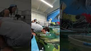 水族館使出新創意