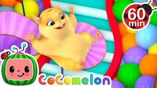 Hamster vs Maze  Hamsters Great Escape  + MORE CoComelon Nursery Rhymes & Kids Songs