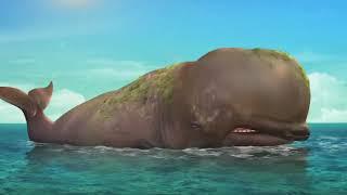 Whale Burp & Fart Stomach Growl & Fart Edit