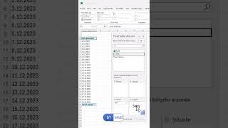 #Excel #Pivot Yüzdesel Değişim #shorts