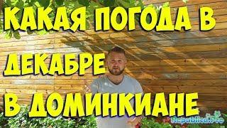 Какая погода в декабре в Доминикане? доминикана. доминикана2017. доминикана цены. доминикана видео