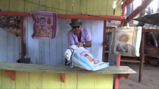 Mexican Bag Commercial on Mexican Highway