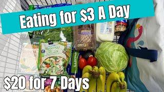 $20 for 7 Days  Eating for $3 a Day  Easy Budget Meal Plan