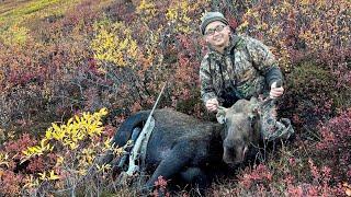 2024 ALASKA MOOSE HUNT