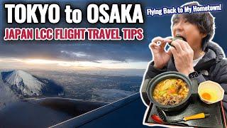 Japan LCC Flight Tips Rainy Sunset Night Mt. Fuji Flight Narita Airport New Kansai Airport Ep.449