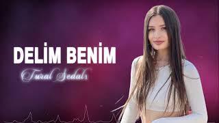 Azeri Remix 2024  DELİM BENİM  En Yeni Azeri Hit Mahni ️️️️️