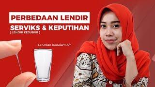 Perbedaan Keputihan Dan Lendir Serviks  Ciri-Ciri Lendir Masa Subur