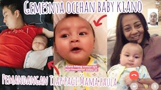 Makin Pinter NGOCEH Gemasnya Baby Kiano Tiger Wong VideoCall Bareng OPA VERHOEVEN