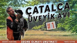 NEREDEN VURDUM  ÇATALCA ÜVEYİK AVI