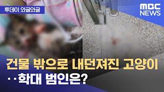 와글와글 건물 밖으로 내던져진 고양이‥학대 범인은? 2024.04.19뉴스투데이MBC