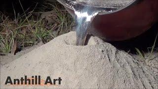 Casting a Fire Ant Colony with Molten Aluminum Cast #043