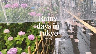 Rainy days in Tokyo  chill week  living alone  working from home in Japan Tokyo Vlog