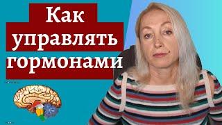 Как управлять гормонами Гипофиз Гипоталамус  Эндокринная Система