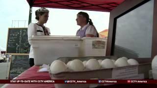 Organic Egg Shortage in U.S Stores