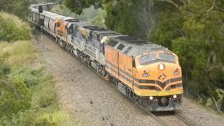 Streamliner CLP8 leads CM3310 CM3314 GWA001 on Aurizon Grain 2182 - 8 December 2023