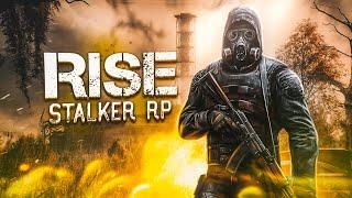 ТЕСТИРУЕМ СЕРВЕР RISE STALKER RP  #dayz #stream #stalkerrp 