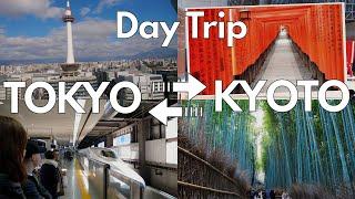 Kyoto in One Day? Follow Our Shinkansen Day Trip from Tokyo