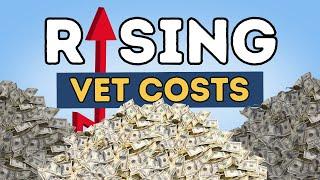 Escalating Vet FEES Big Business is TAKING OVER Veterinarians