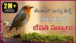 Wonderful Telugu Motivational Quotes  Nithya Satyalu  Manchi Matalu  Suktulu