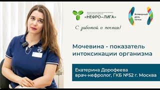 Мочевина ‒ показатель интоксикации организма