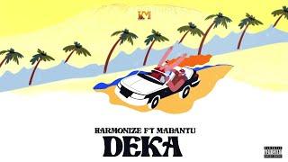 Harmonize ft Mabantu - Deka Animation Lyrics Video